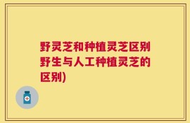 野灵芝和种植灵芝区别野生与人工种植灵芝的区别)