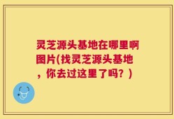 灵芝源头基地在哪里啊图片(找灵芝源头基地，你去过这里了吗？)