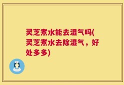 灵芝煮水能去湿气吗(灵芝煮水去除湿气，好处多多)