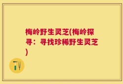 梅岭野生灵芝(梅岭探寻：寻找珍稀野生灵芝)
