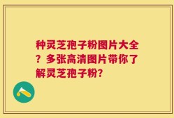 种灵芝孢子粉图片大全？多张高清图片带你了解灵芝孢子粉？
