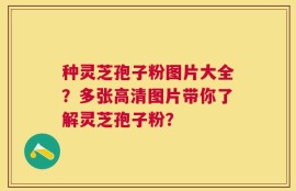 种灵芝孢子粉图片大全？多张高清图片带你了解灵芝孢子粉？