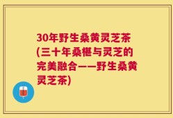 30年野生桑黄灵芝茶(三十年桑椹与灵芝的完美融合——野生桑黄灵芝茶)