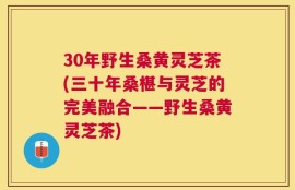 30年野生桑黄灵芝茶(三十年桑椹与灵芝的完美融合——野生桑黄灵芝茶)