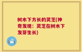 树木下方长的灵芝(神奇发现：灵芝在树木下发芽生长)