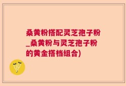桑黄粉搭配灵芝孢子粉_桑黄粉与灵芝孢子粉的黄金搭档组合)