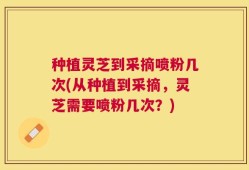 种植灵芝到采摘喷粉几次(从种植到采摘，灵芝需要喷粉几次？)