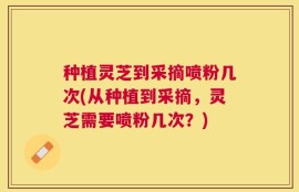 种植灵芝到采摘喷粉几次(从种植到采摘，灵芝需要喷粉几次？)