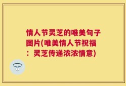 情人节灵芝的唯美句子图片(唯美情人节祝福：灵芝传递浓浓情意)