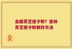 自磨灵芝孢子粉？吉林灵芝孢子粉制作方法