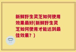 新鲜野生灵芝如何使用效果最好(新鲜野生灵芝如何使用才能达到最佳效果？)