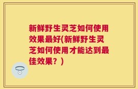 新鲜野生灵芝如何使用效果最好(新鲜野生灵芝如何使用才能达到最佳效果？)