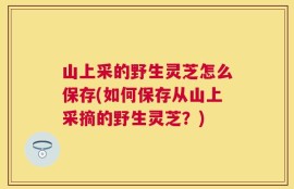 山上采的野生灵芝怎么保存(如何保存从山上采摘的野生灵芝？)
