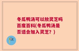 冬瓜鸭汤可以放灵芝吗百度百科(冬瓜鸭汤是否适合加入灵芝？)