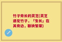 竹子旁长的灵芝(灵芝遇见竹子，「生长」在其旁边，联袂繁荣)