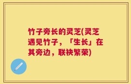 竹子旁长的灵芝(灵芝遇见竹子，「生长」在其旁边，联袂繁荣)