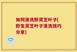 如何清洗野灵芝叶子(野生灵芝叶子清洗技巧分享)