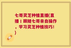 七哥灵芝种植直播(直播丨跟随七哥亲自操作，学习灵芝种植技巧！)