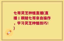 七哥灵芝种植直播(直播丨跟随七哥亲自操作，学习灵芝种植技巧！)