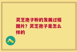 灵芝孢子粉的发展过程图片？灵芝孢子是怎么样的