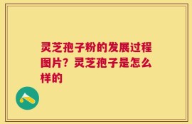 灵芝孢子粉的发展过程图片？灵芝孢子是怎么样的
