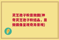 灵芝孢子粉显微图(神奇灵芝孢子粉结晶，显微摄像呈现奇异景观)