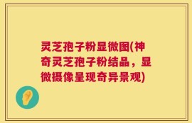 灵芝孢子粉显微图(神奇灵芝孢子粉结晶，显微摄像呈现奇异景观)