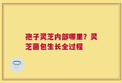 孢子灵芝内部哪里？灵芝菌包生长全过程