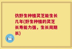 仿野生种植灵芝能生长几年(野生种植的灵芝长寿能力强，生长周期长)
