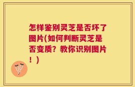 怎样鉴别灵芝是否坏了图片(如何判断灵芝是否变质？教你识别图片！)