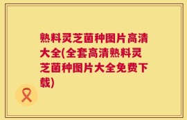 熟料灵芝菌种图片高清大全(全套高清熟料灵芝菌种图片大全免费下载)