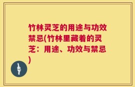 竹林灵芝的用途与功效禁忌(竹林里藏着的灵芝：用途、功效与禁忌)