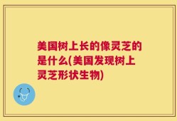 美国树上长的像灵芝的是什么(美国发现树上灵芝形状生物)