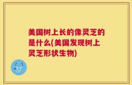 美国树上长的像灵芝的是什么(美国发现树上灵芝形状生物)