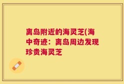 离岛附近的海灵芝(海中奇迹：离岛周边发现珍贵海灵芝