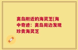 离岛附近的海灵芝(海中奇迹：离岛周边发现珍贵海灵芝