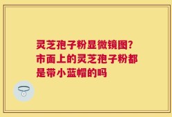 灵芝孢子粉显微镜图？市面上的灵芝孢子粉都是带小蓝帽的吗