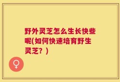 野外灵芝怎么生长快些呢(如何快速培育野生灵芝？)
