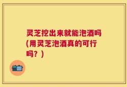 灵芝挖出来就能泡酒吗(用灵芝泡酒真的可行吗？)