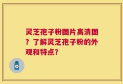 灵芝孢子粉图片高清图？了解灵芝孢子粉的外观和特点？
