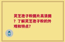 灵芝孢子粉图片高清图？了解灵芝孢子粉的外观和特点？