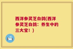 西洋参灵芝白鸽(西洋参灵芝白鸽：养生中的三大宝！)
