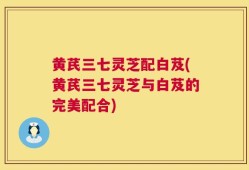 黄芪三七灵芝配白芨(黄芪三七灵芝与白芨的完美配合)