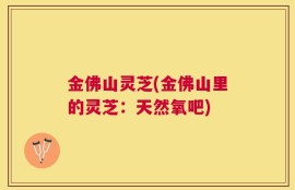 金佛山灵芝(金佛山里的灵芝：天然氧吧)