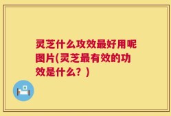 灵芝什么攻效最好用呢图片(灵芝最有效的功效是什么？)