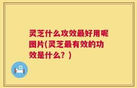 灵芝什么攻效最好用呢图片(灵芝最有效的功效是什么？)
