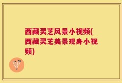 西藏灵芝风景小视频(西藏灵芝美景现身小视频)