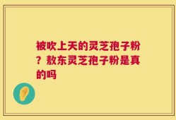 被吹上天的灵芝孢子粉？敖东灵芝孢子粉是真的吗