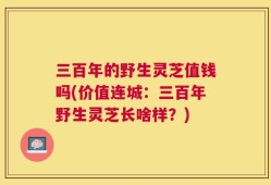三百年的野生灵芝值钱吗(价值连城：三百年野生灵芝长啥样？)