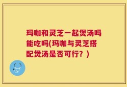 玛咖和灵芝一起煲汤吗能吃吗(玛咖与灵芝搭配煲汤是否可行？)